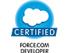 Force.com Developer