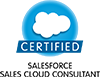 Sales cloud consultant